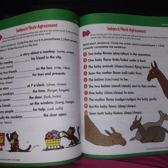 SCHOLASTIC 2ND GRADE WORKBOOK-- NEW CONDITION-- ALL SUBJECTS--#23 - Picture 4 of 4